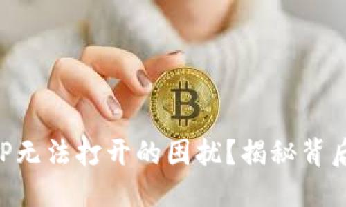 如何解决TP钱包APP无法打开的困扰？揭秘背后的原因与解决方案