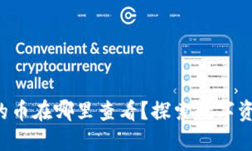 TP钱包买的币在哪里查看？探索数字资产的秘密！