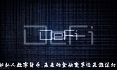   揭秘私人数字货币：未来