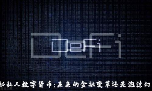   
揭秘私人数字货币：未来的金融变革还是泡沫幻影？