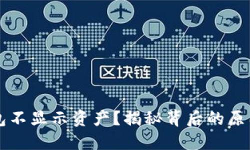 为什么TP钱包不显示资产？揭秘背后的原因与解决方案