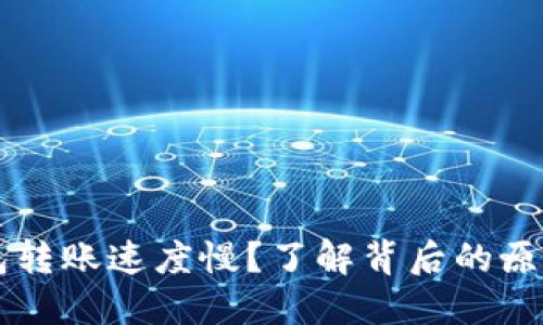 为什么TP钱包转账速度慢？了解背后的原因和解决方案
