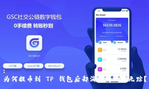 :
为何提币到 TP 钱包后却消失得无影无踪?