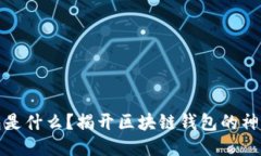 TP钱包是什么？揭开区块链