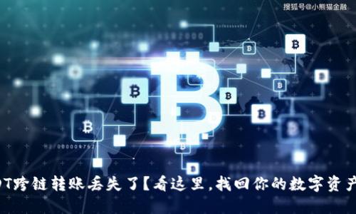 你的USDT跨链转账丢失了？看这里，找回你的数字资产的秘密！