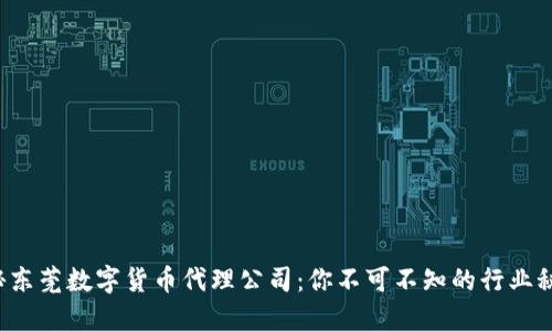 揭秘东莞数字货币代理公司：你不可不知的行业秘密！