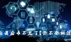 TP钱包大笔交易后币不见了