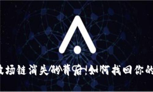 TP钱包中波场链消失的背后：如何找回你的数字资产？