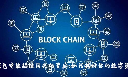TP钱包中波场链消失的背后：如何找回你的数字资产？