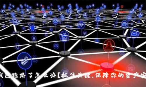 TP钱包跑路了怎么办？抓住关键，保障你的资产安全！