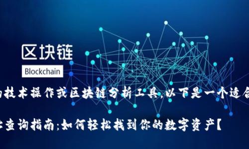 同样不涉及具体的技术操作或区块链分析工具，以下是一个适合大众的内容框架。

火币钱包持币地址查询指南：如何轻松找到你的数字资产？