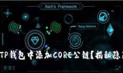 如何在TP钱包中添加CORE公