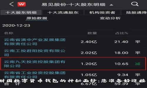 揭开二五财团数字货币钱包的神秘面纱：您准备好迎接未来了吗？