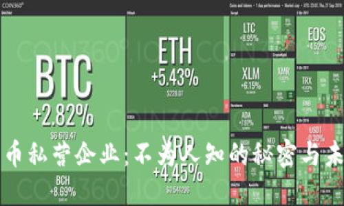 数字货币私营企业：不为人知的秘密与未来展望