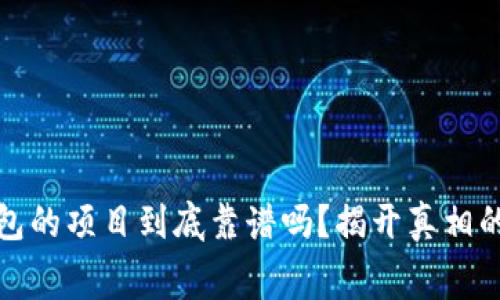 TP钱包的项目到底靠谱吗？揭开真相的帷幕