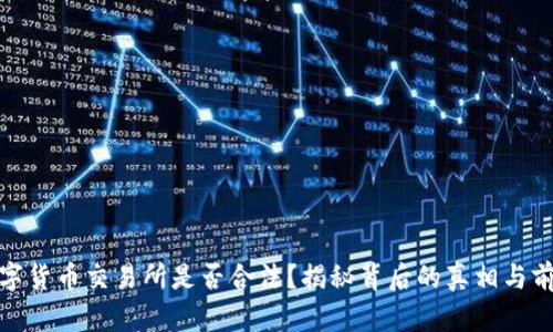 数字货币交易所是否合法？揭秘背后的真相与前景