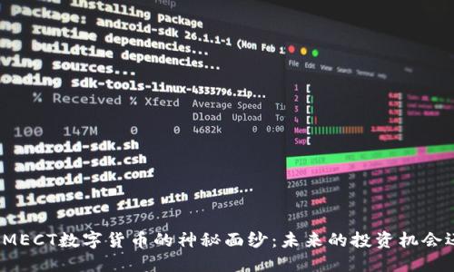 揭开韩国MECT数字货币的神秘面纱：未来的投资机会还是泡沫？