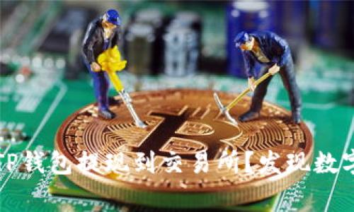 如何将BabyDoge从TP钱包提现到交易所？发现数字资产管理的新方法！