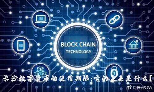 长沙数字货币的使用期限：它的未来是什么？