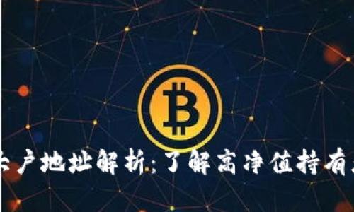 以太坊钱包大户地址解析：了解高净值持有者的资产布局