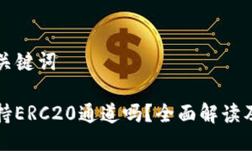 ### 及关键词
TP钱包支持ERC20通道吗?全面解读及使用指南