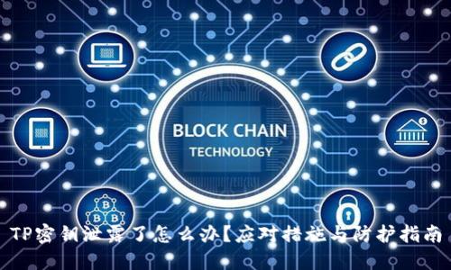 TP密钥泄露了怎么办?应对措施与防护指南